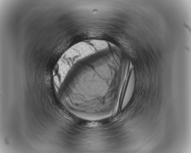 X0000097830269200804111046