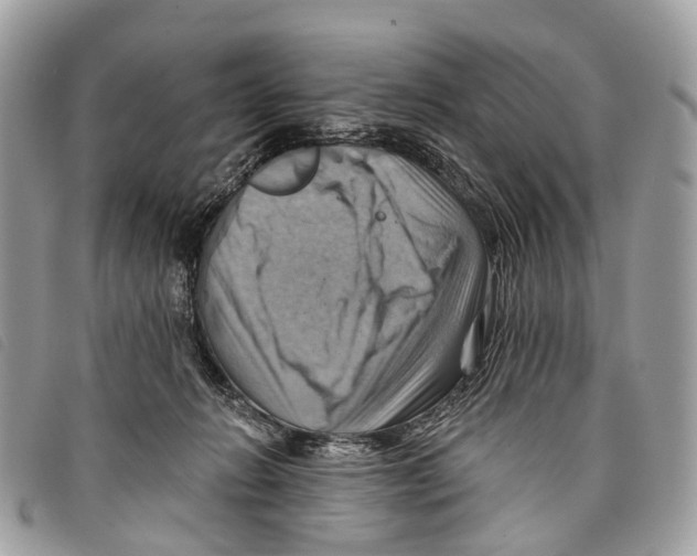 X0000097830270200804111046