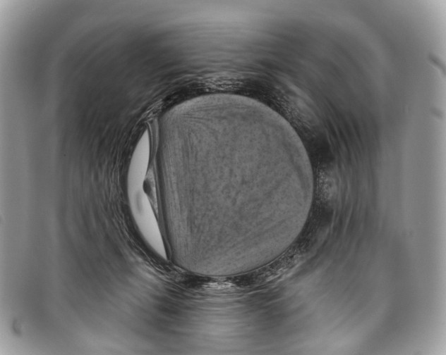 X0000097830271200804111046