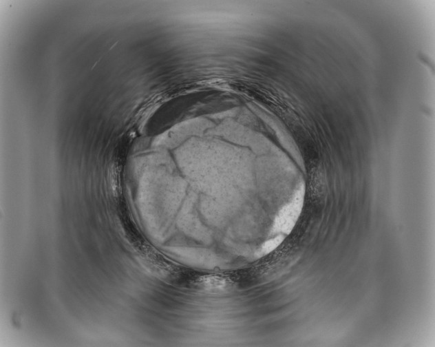 X0000097830272200804111046