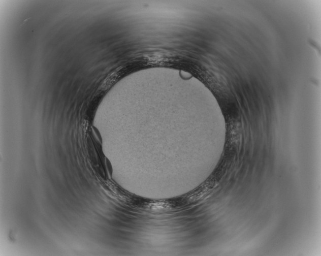 X0000097830275200804111047