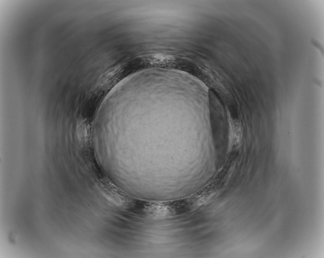 X0000097830276200804111047