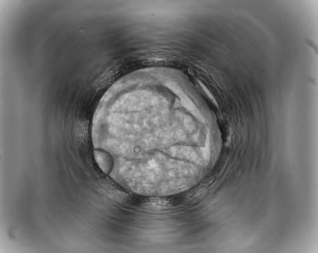 X0000097830278200804111047