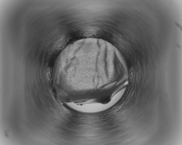 X0000097830280200804111047