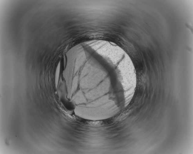 X0000097830281200804111047