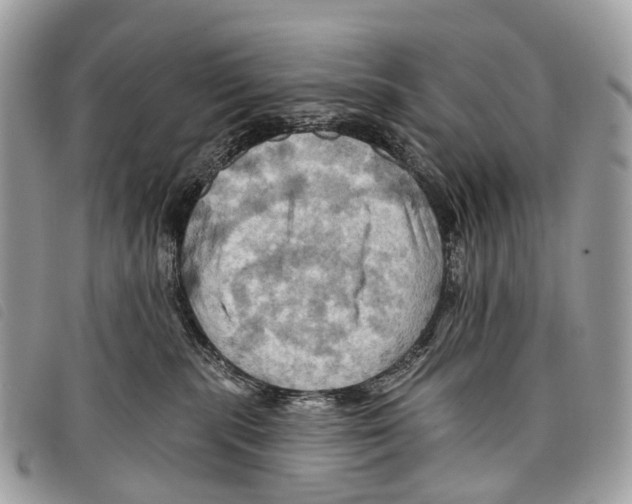 X0000097830283200804111047