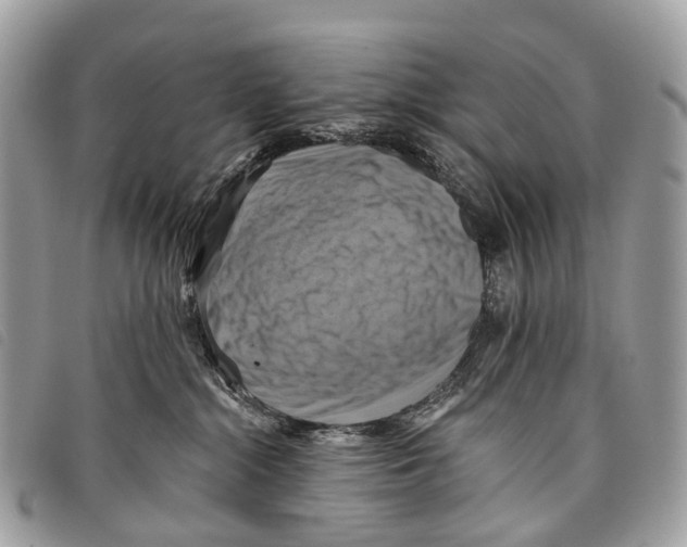 X0000097830284200804111047