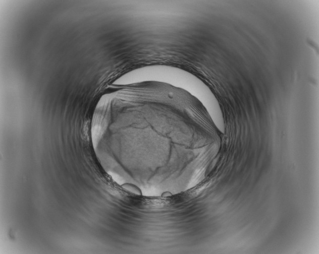 X0000097830286200804111047