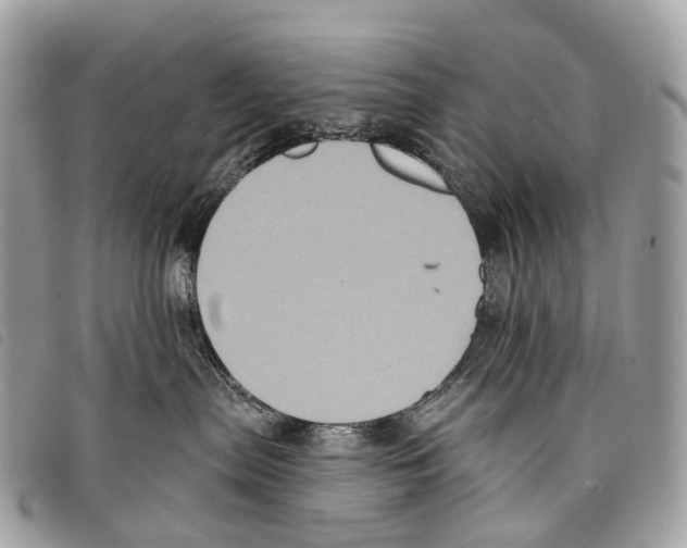 X0000097830287200804111047