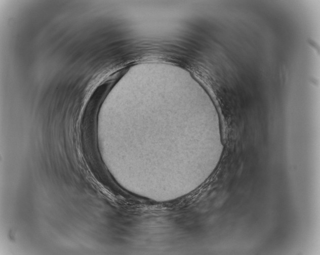 X0000097830289200804111046