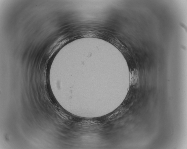 X0000097830291200804111046