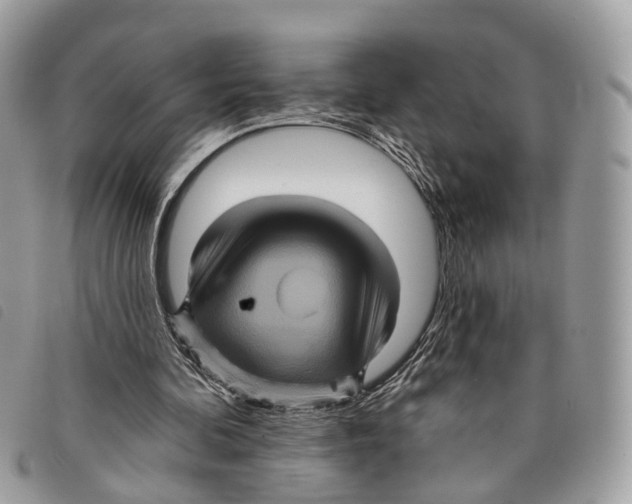 X0000097830292200804111046