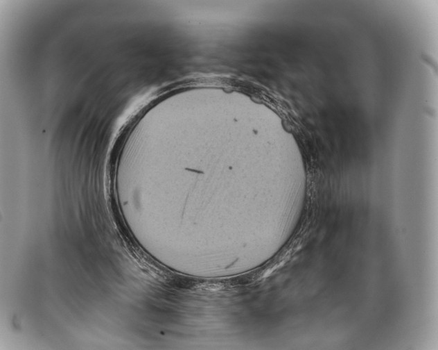 X0000097830294200804111046