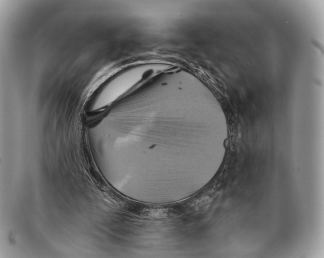 X0000097830295200804111046