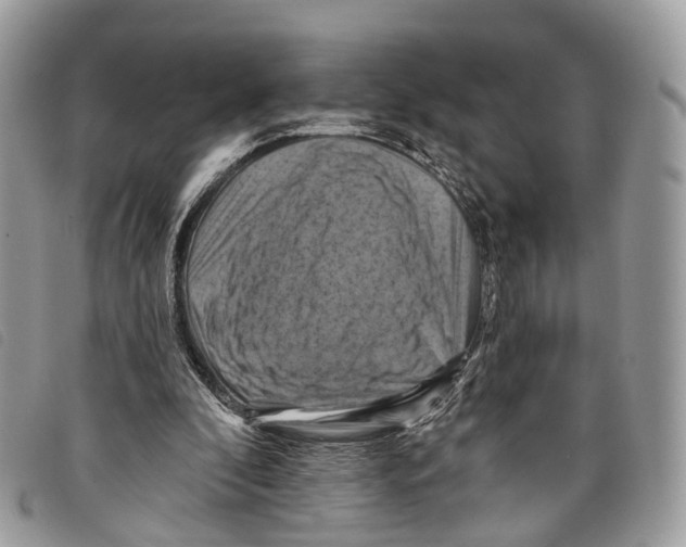 X0000097830296200804111046