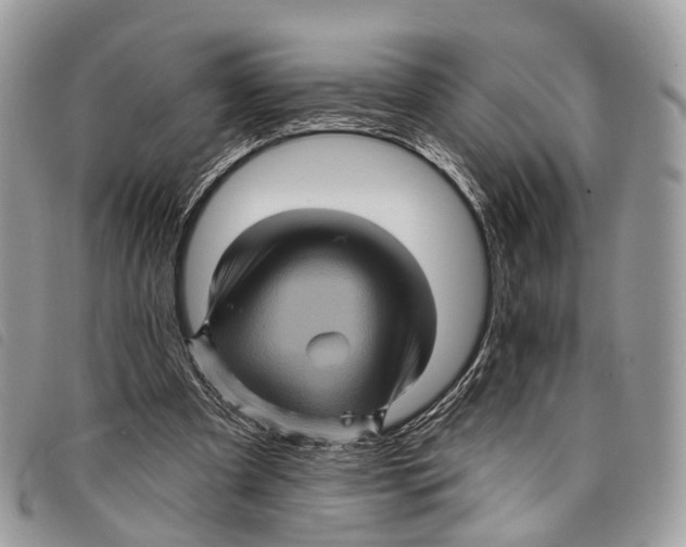 X0000097830297200804111046