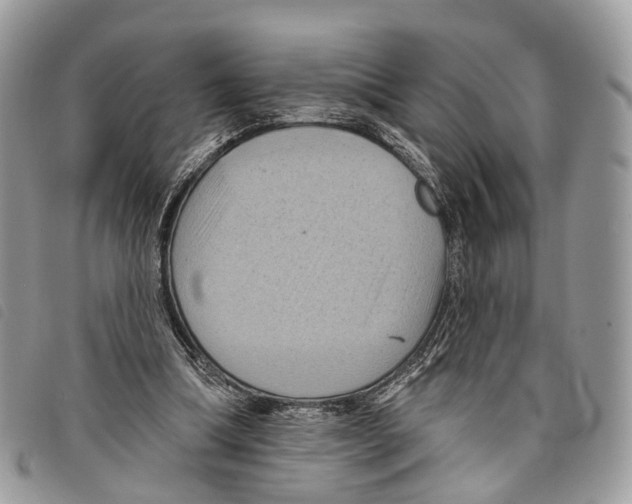 X0000097830298200804111046