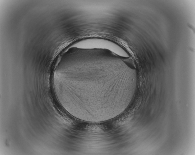 X0000097830299200804111046