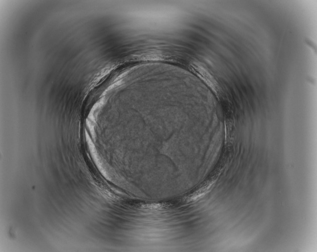 X0000097830301200804111046