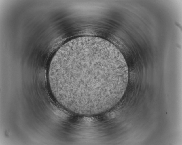 X0000097830302200804111046