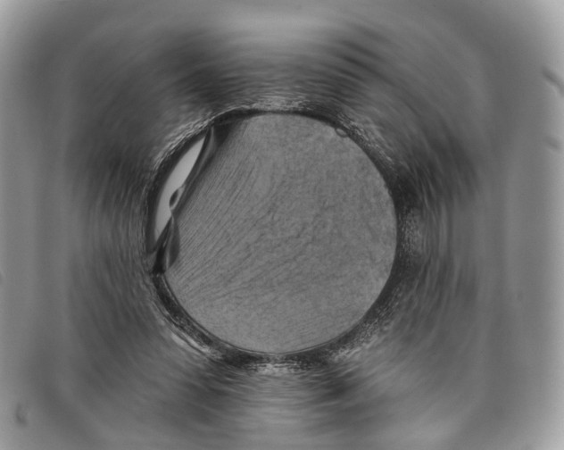 X0000097830303200804111046