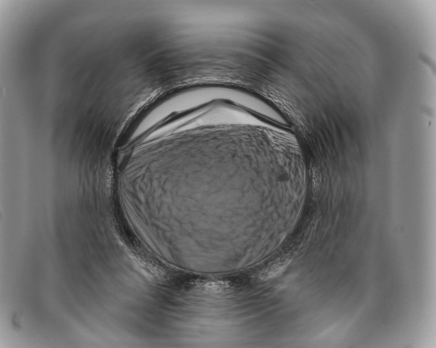 X0000097830304200804111046