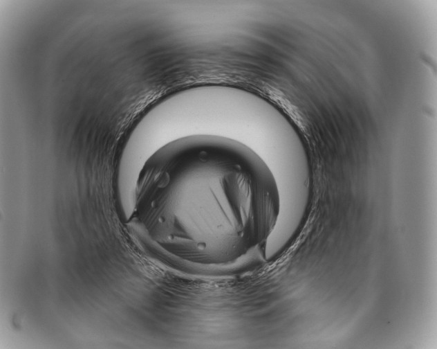 X0000097830305200804111046