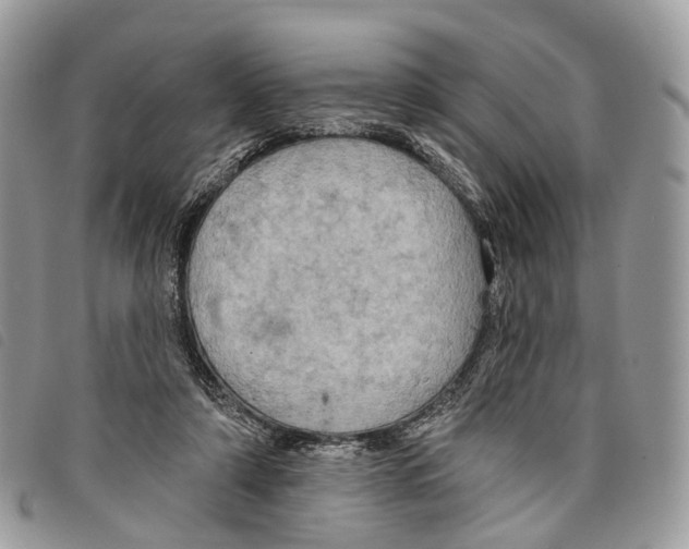 X0000097830306200804111046