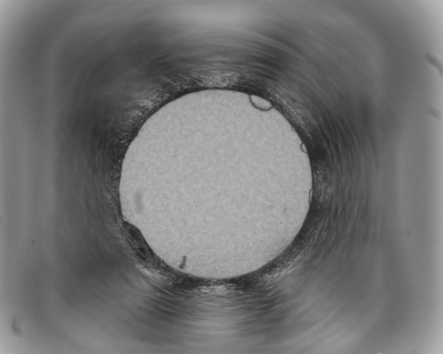 X0000097830307200804111046