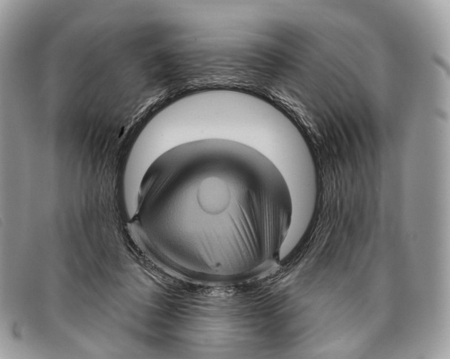 X0000097830308200804111046