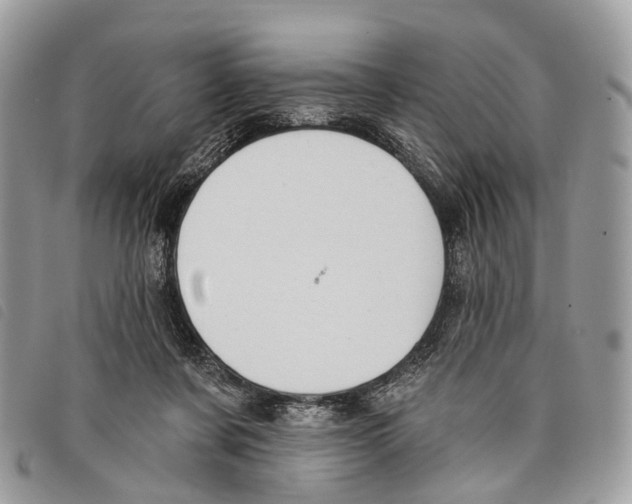 X0000097830311200804111046