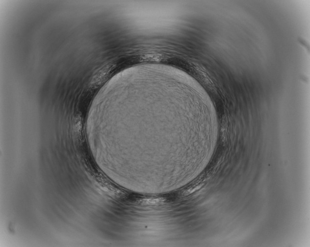 X0000097830314200804111046