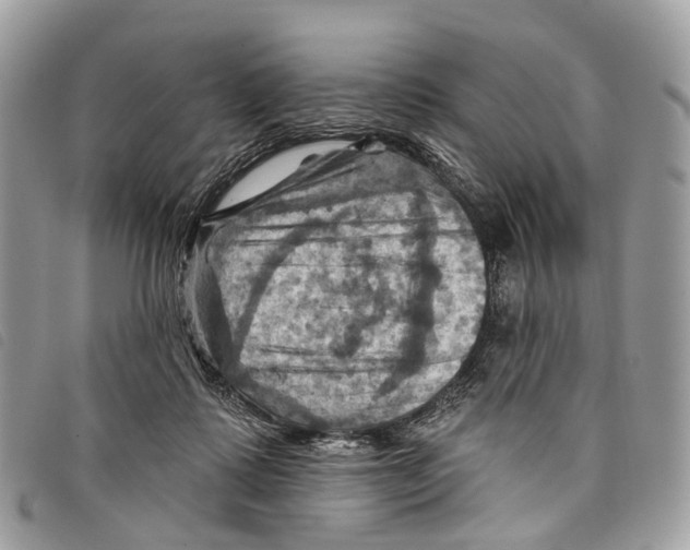 X0000097830315200804111046