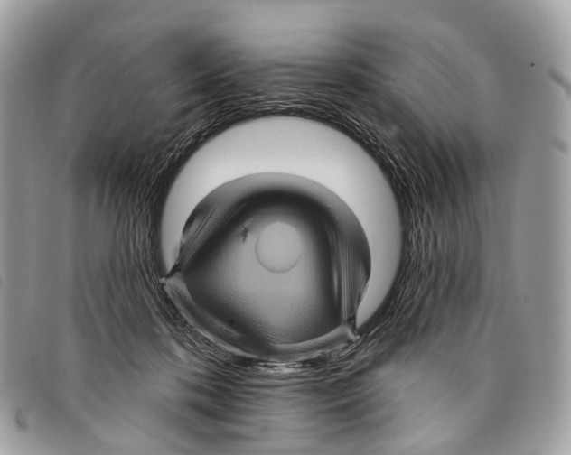 X0000097830316200804111046