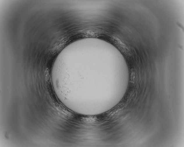 X0000097830318200804111046