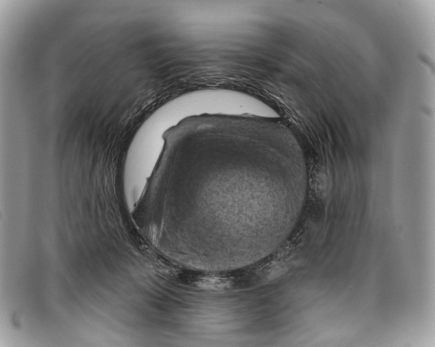 X0000097830319200804111046