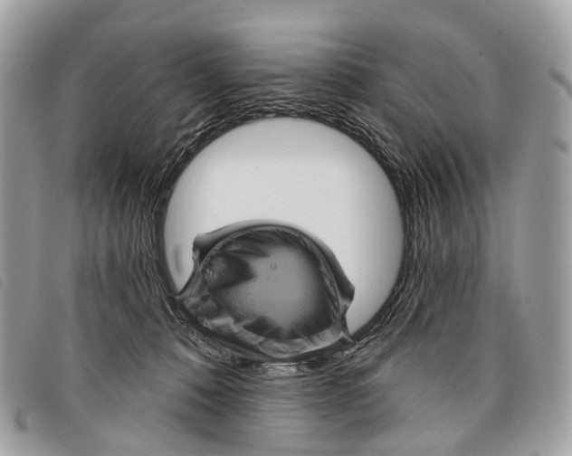 X0000097830320200804111046