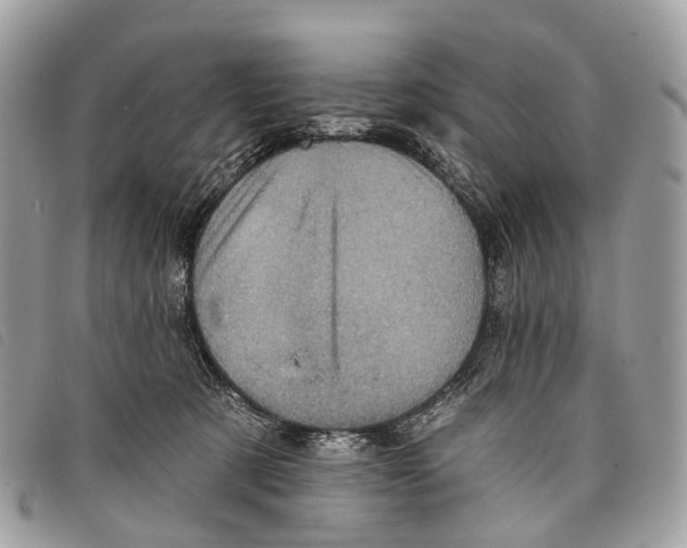 X0000097830321200804111046