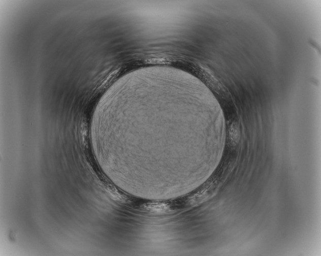 X0000097830322200804111046