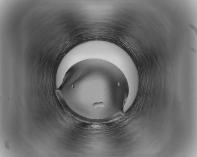 X0000097830323200804111046