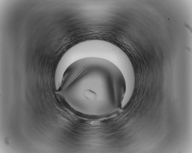 X0000097830324200804111046