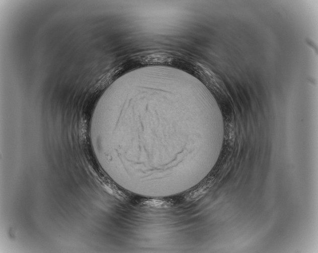 X0000097830326200804111046