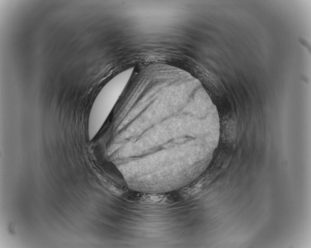 X0000097830329200804111045