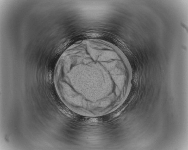 X0000097830330200804111045