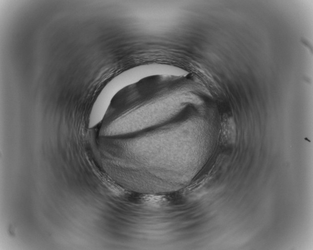 X0000097830333200804111045