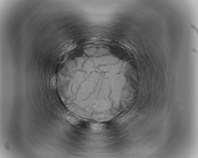 X0000097830336200804111045