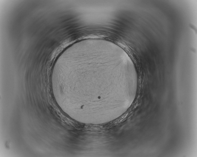 X0000097830337200804111045