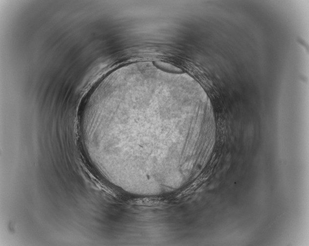 X0000097830338200804111045