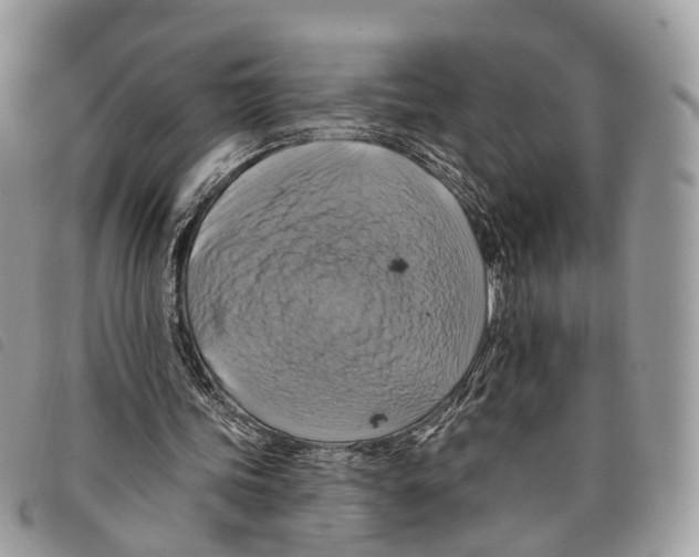 X0000097830339200804111045