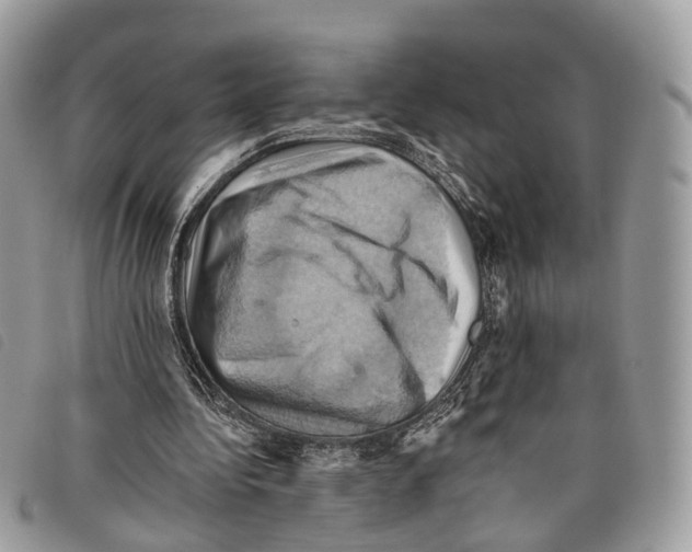 X0000097830340200804111045